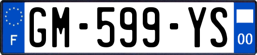 GM-599-YS