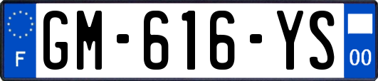 GM-616-YS