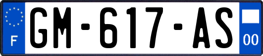 GM-617-AS