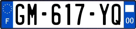 GM-617-YQ
