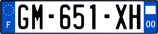 GM-651-XH