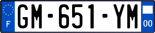 GM-651-YM