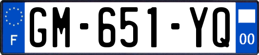 GM-651-YQ