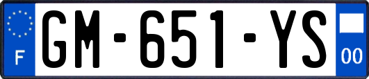 GM-651-YS