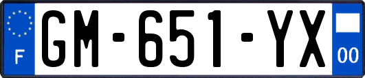 GM-651-YX