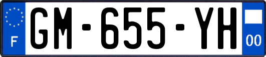 GM-655-YH