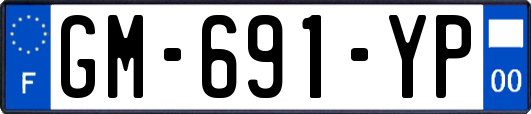 GM-691-YP