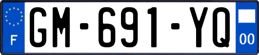 GM-691-YQ