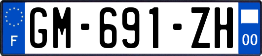 GM-691-ZH