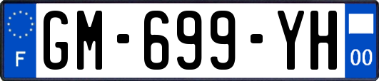 GM-699-YH