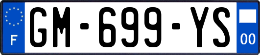 GM-699-YS