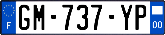 GM-737-YP