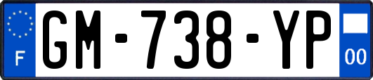 GM-738-YP