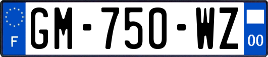 GM-750-WZ