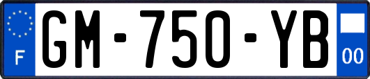 GM-750-YB