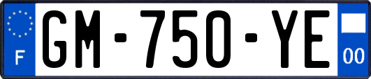 GM-750-YE