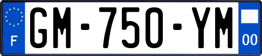 GM-750-YM
