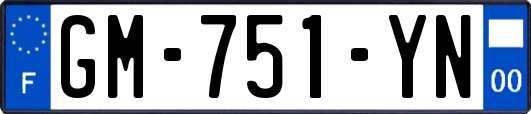 GM-751-YN