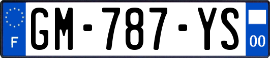 GM-787-YS