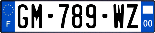 GM-789-WZ