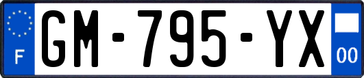 GM-795-YX
