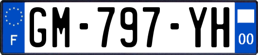 GM-797-YH