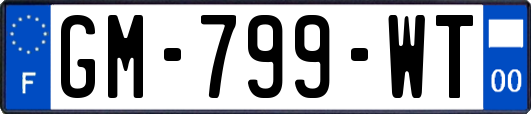 GM-799-WT
