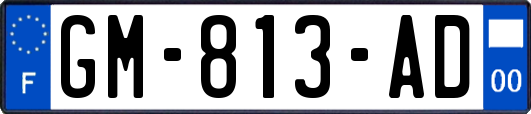 GM-813-AD