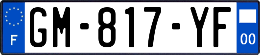 GM-817-YF