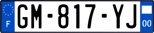 GM-817-YJ