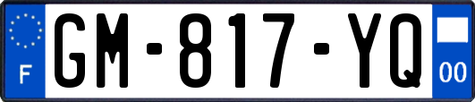GM-817-YQ