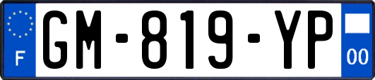 GM-819-YP