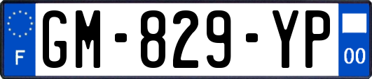 GM-829-YP