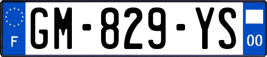 GM-829-YS