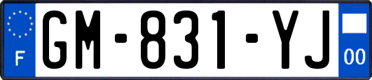 GM-831-YJ