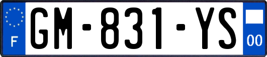 GM-831-YS