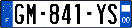 GM-841-YS