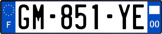 GM-851-YE