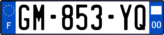 GM-853-YQ