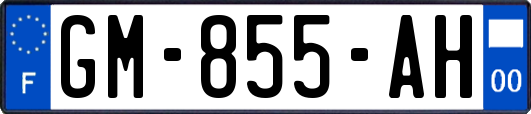 GM-855-AH