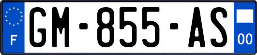 GM-855-AS
