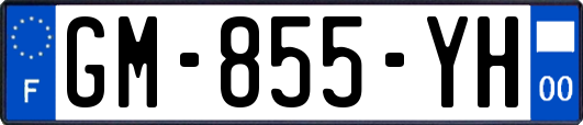 GM-855-YH