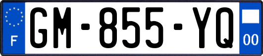 GM-855-YQ