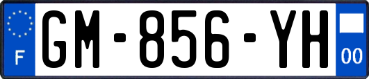 GM-856-YH
