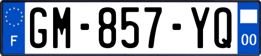 GM-857-YQ