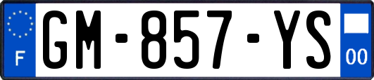GM-857-YS