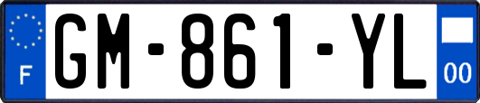 GM-861-YL