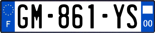 GM-861-YS