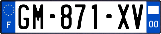 GM-871-XV