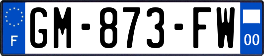 GM-873-FW